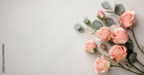 Pink Roses and Greenery on White Background