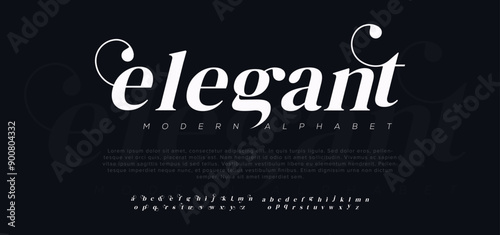 Elegant Signature Font Calligraphy Logotype Script Brush Font Type Font lettering handwritten
