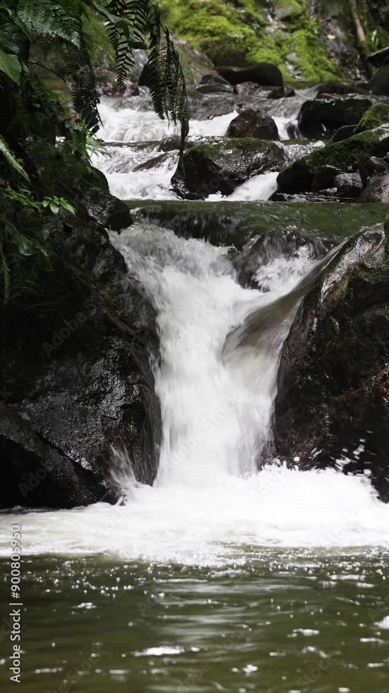 A cascading waterfall flowing over rocks in a lush forest setting A cascading waterfall flowing over rocks in a lush forest setting