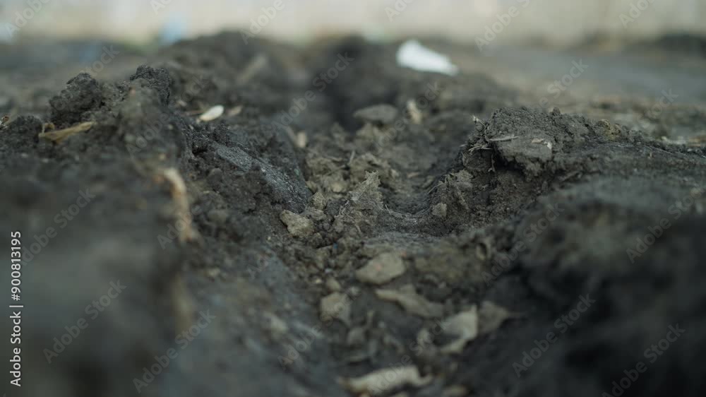 Close-up of a muddy trench on leaf-covered ground with intricate textures of wet soil, decaying leaves, and small debris Close-up of a muddy trench on leaf-covered ground with intricate textures of wet soil, decaying leaves, and small debris