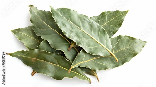 Showcasing a bunch of bay leaves neatly stacked on a white surface, this image highlights the smooth texture, natural green color, and prominent veins of the leaves.