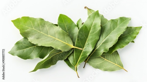 This close-up photo of bay leaves reveals their intricate texture and prominent veins against a clean white background, highlighting their natural green color and freshness. © ChaoticMind
