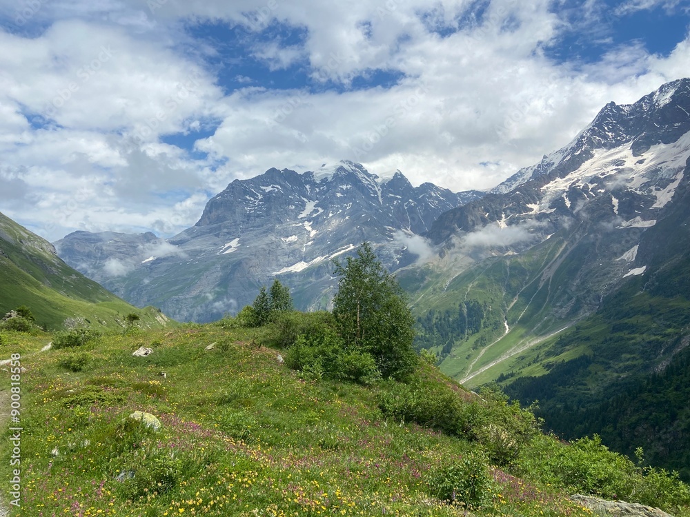 swiss mountains in the summer swiss mountains in the summer