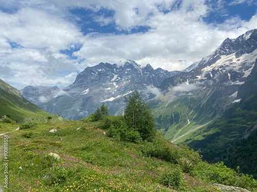swiss mountains in the summer