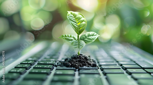 EcoFriendly It Concept Growing Greens from Keyboard
