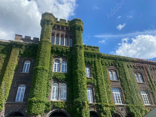 Building covered in plants