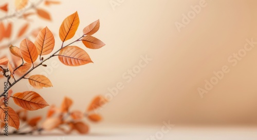 Autumn Branch With Orange Leaves