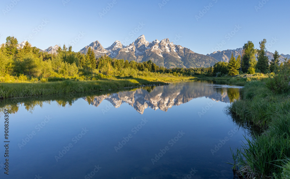 Naklejka premium Tetons and Forest Reflected in Pond