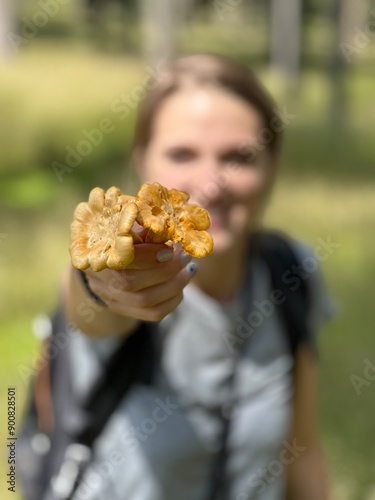 Eierschwammerl im Wald photo