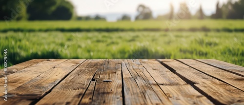 An ultramodern supernatural scene of a wood table in a comfortable style set against a meadow view