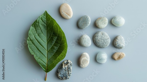 Small stones and leaf arrangement