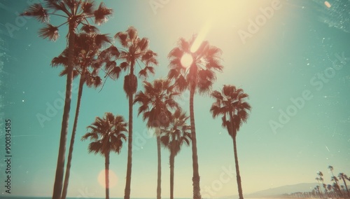 Palm Trees Silhouette Against Sunny Sky