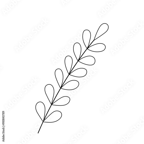 Black and white silhouette of seaweed. Ocean plants, underwater flora and fauna. Monochrome outline drawing. Vector illustration. Clipart for coloring pages, design, cards, packaging, labels, printing
