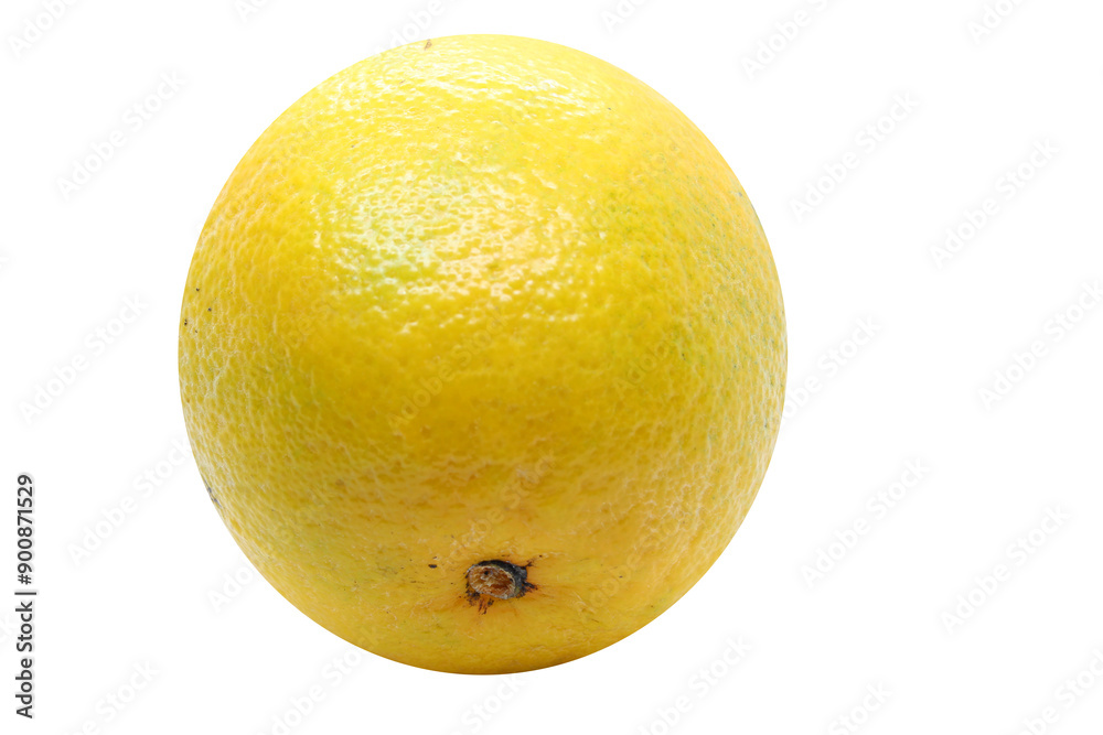 orange isolated. isolated natural food. orange isolated. isolated natural food.
