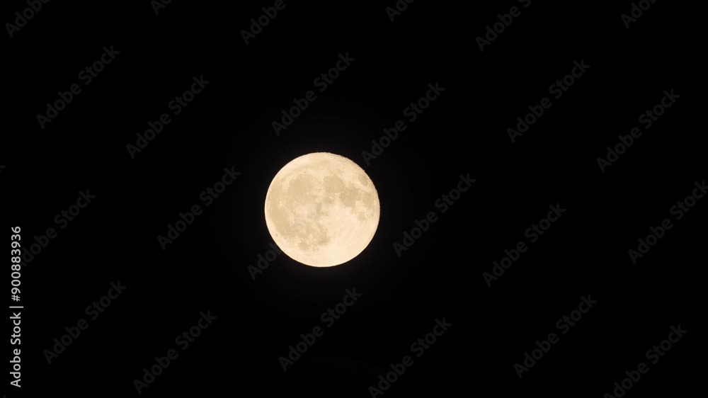 Full summer moon with night forest sounds. Time Lapse Video.
Full summer moon with night forest sounds. Time Lapse Video.