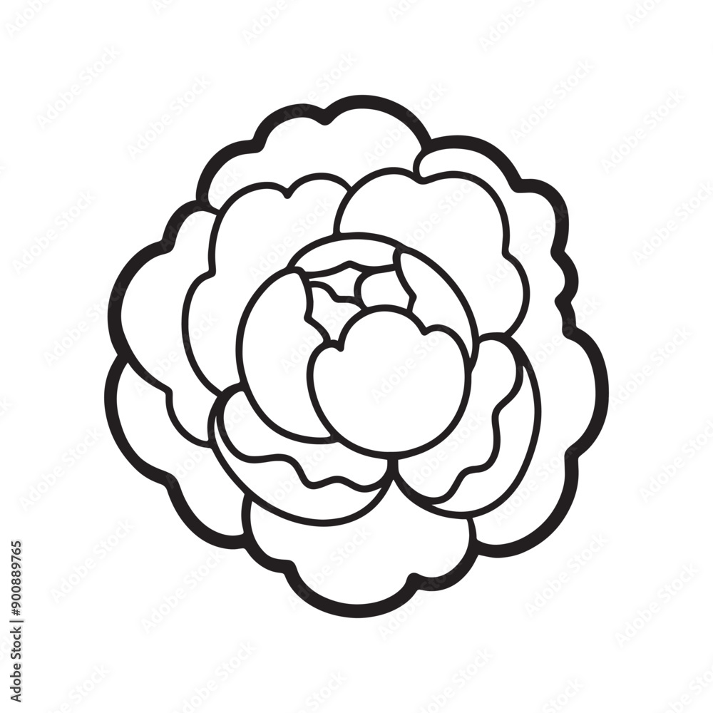 Peony, linear illustration, contour, template, flowers, for a card, for a logo, print, garden, bouquet, graphic element. Peony, linear illustration, contour, template, flowers, for a card, for a logo, print, garden, bouquet, graphic element.