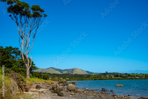 Hokianga Harbour in Northland - New Zealand photo