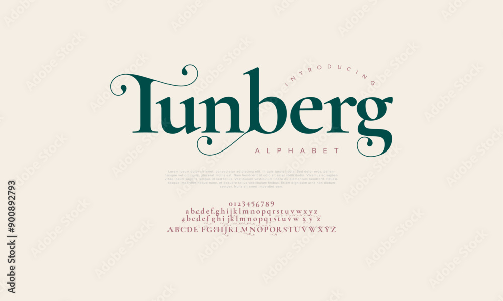 Tunberg swash luxury elegant alphabet letters and numbers. Vintage wedding typography classic serif font decorative vintage retro. creative vector illustration Tunberg swash luxury elegant alphabet letters and numbers. Vintage wedding typography classic serif font decorative vintage retro. creative vector illustration