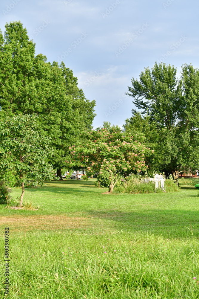 Fototapeta premium Grass and Trees in a Yard