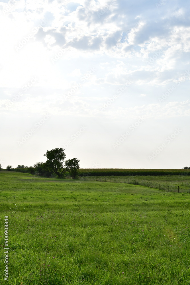 Clouds in a Sunny Sky Over a Rural Farm Field