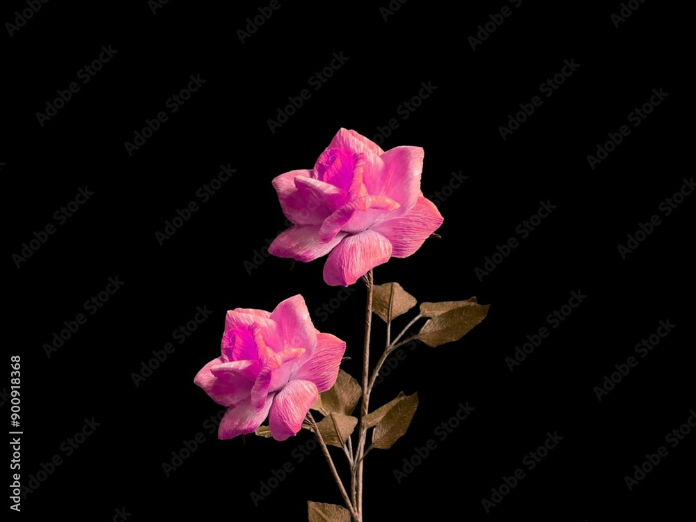 Frame made of flowers on black background. View with copy space. Flat design frame flower Frame made of flowers on black background. View with copy space. Flat design frame flower
