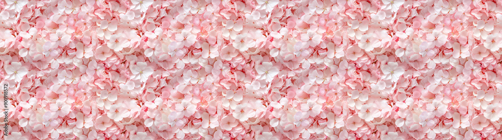 a densely packed pattern backgroundof cherry blossom petals completely covering the surface a densely packed pattern backgroundof cherry blossom petals completely covering the surface