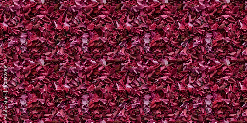 Fototapeta premium a densely packed texture background of individual dahlia petals completely covering the surface