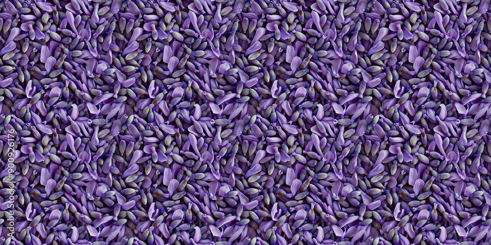 a densely packed texture background of individual lavender petals completely covering the surface