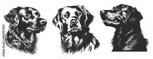 Golden retriever dog head portrait silhouette. Labrador profile portrait. Domestic animals. Pets, animal for visually impaired people. Logo print emblem element. Isolated vector clipart set