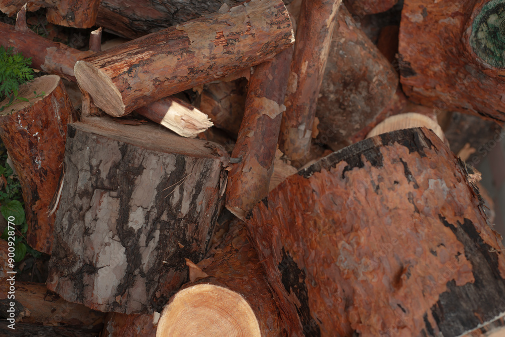 Pile of Tree Parts Slice Stump, Log end Other Tree Trunk Parts for Wallpaper Background. Selective Focus Photo. Pile of Tree Parts Slice Stump, Log end Other Tree Trunk Parts for Wallpaper Background. Selective Focus Photo.