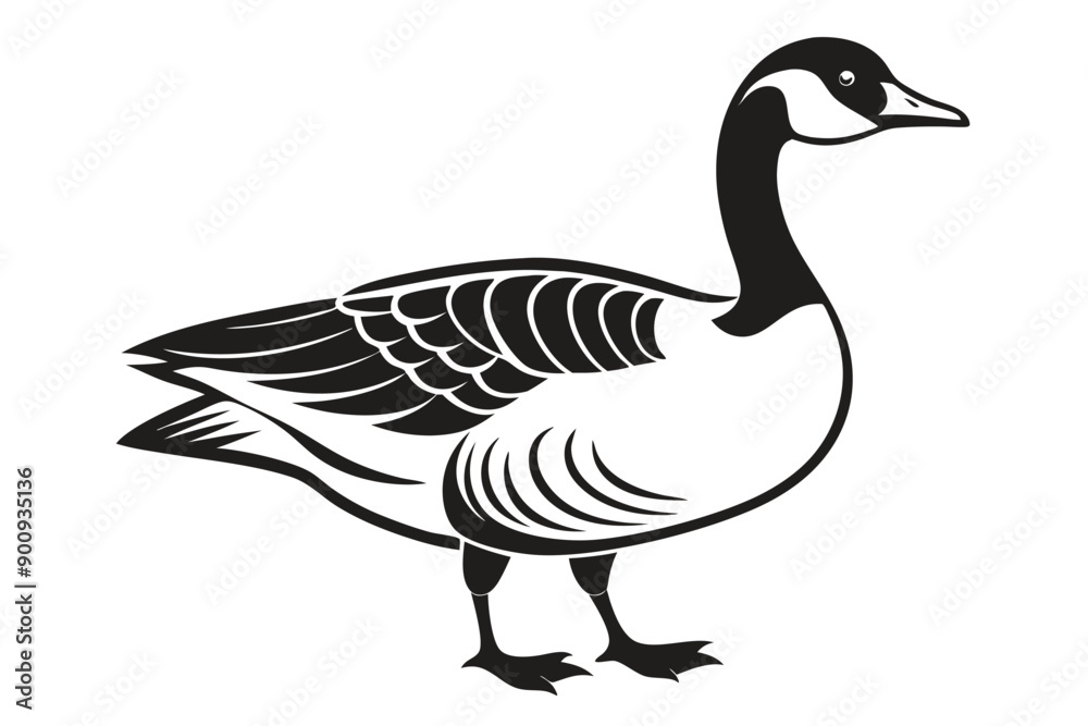 Canadian Goose Condor vector illustration S.eps Canadian Goose Condor vector illustration S.eps