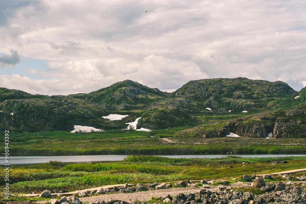 Fototapeta premium Serene Arctic Tundra Landscape with Lush Greenery and Winding Streams.