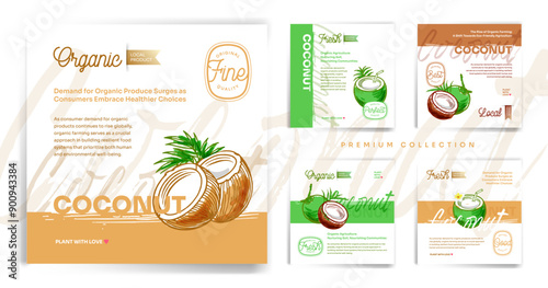 Coconuts hand drawn exotic tropical fruit vector post, flyer and label layout template collection