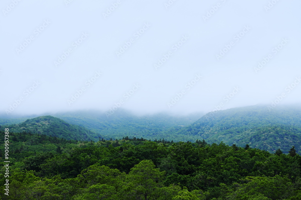 Fototapeta premium 知床峠からの風景