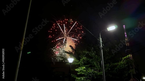 Sumidagawa Fireworks Festival 2024 in Tokyo - Fireworks illuminate the night sky near a lit tower and street lamps photo