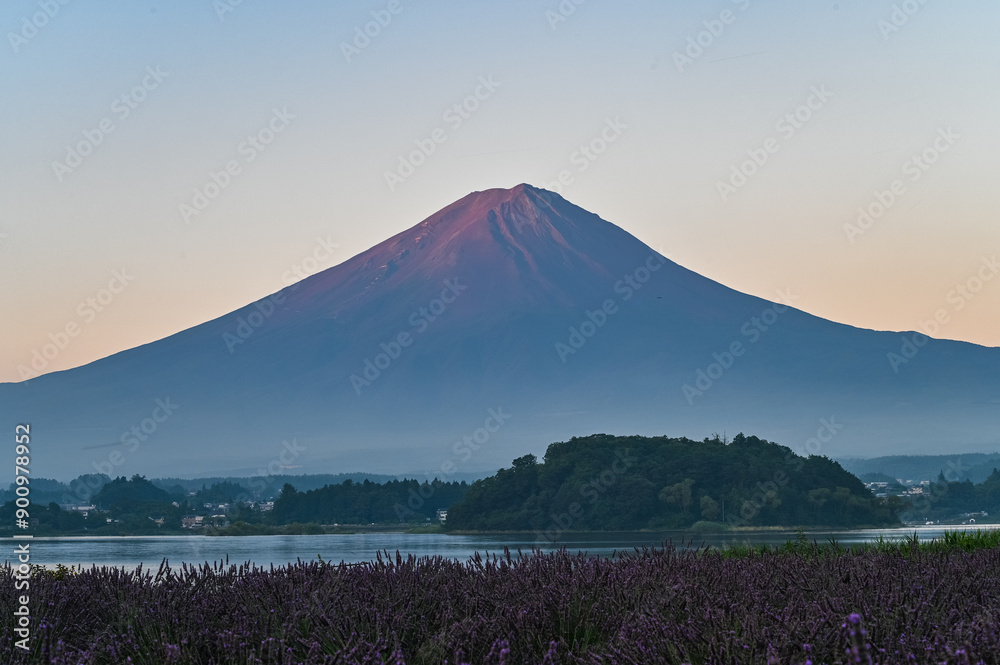 Fototapeta premium 日本山梨県河口湖からの夜明け前の富士山