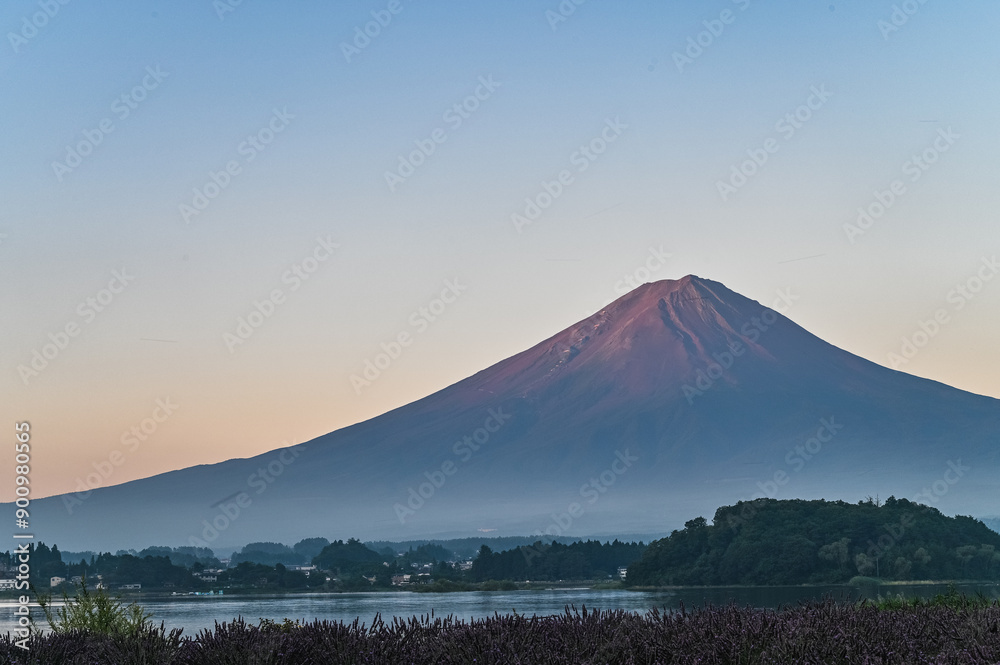Fototapeta premium 日本山梨県河口湖からの夜明け前の富士山