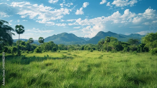 Yongwe National Park Lush tropical scenery and wildlife in Malawi