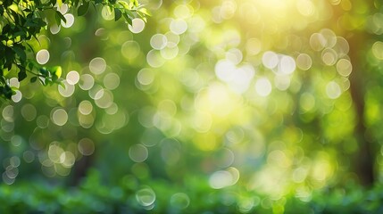 Nature background display over blur green tree garden Blur park nature outdoor bokeh light background in spring and summe : Generative AI