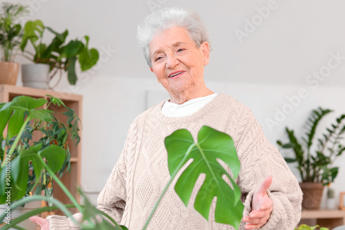 Senior woman with Monstera ...