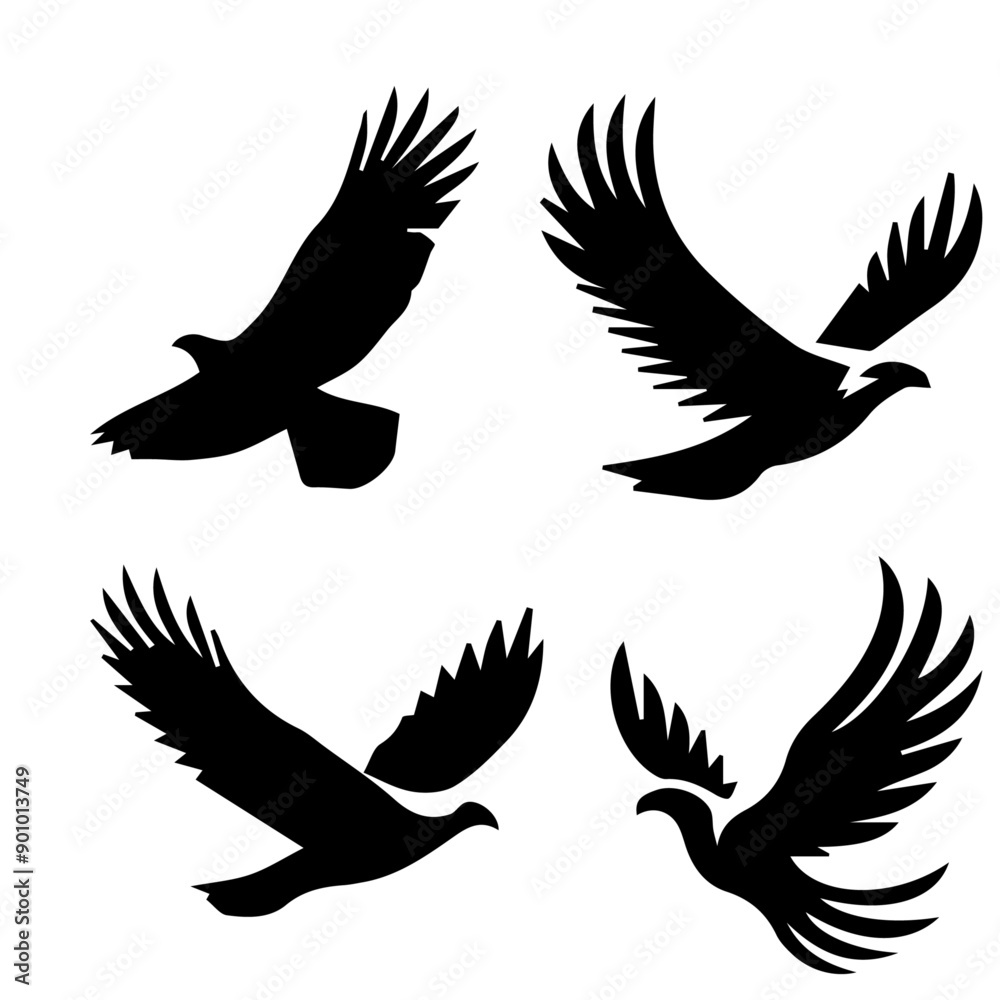 Soaring Soaring