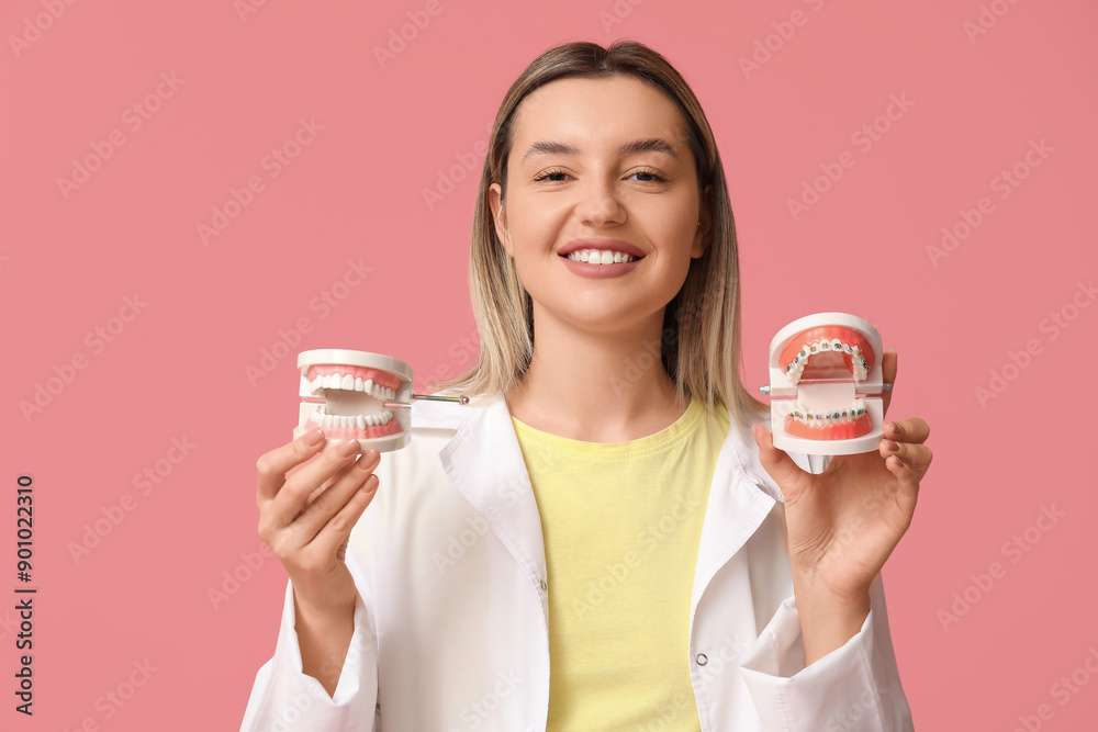 Female dentist with jaw models on pink background, closeup Female dentist with jaw models on pink background, closeup