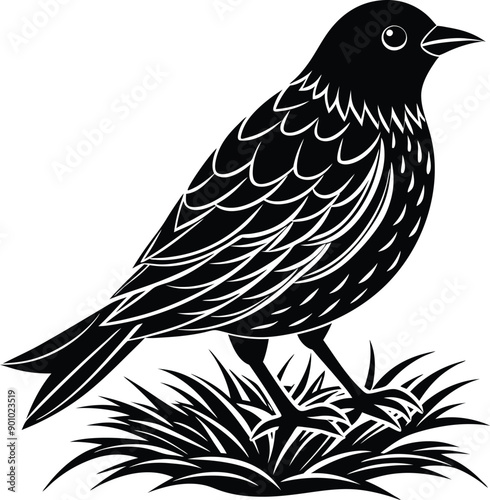  bird on the straw silhouette illustration, nature,  straw, background, feather, plant, 