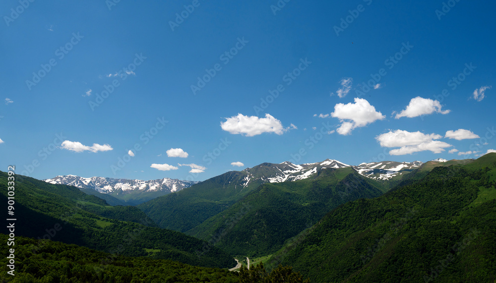 Fototapeta premium Snow-capped mountains under blue sky with forested hills in foreground.