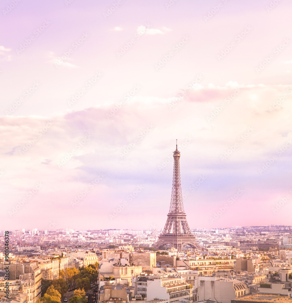 Obraz premium View of Eiffel tower and Paris.