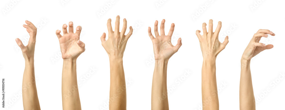 Scratch, catch or grab something. Multiple images set of female caucasian hand with french manicure showing Scratch gesture Scratch, catch or grab something. Multiple images set of female caucasian hand with french manicure showing Scratch gesture