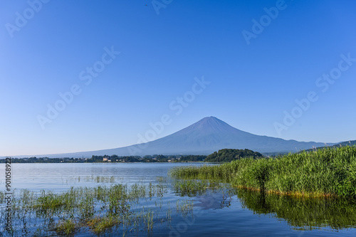 山梨県河口湖と富士山