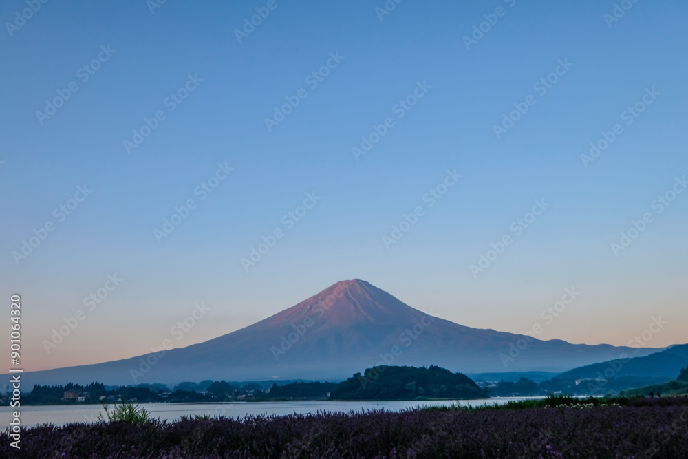 Fototapeta premium 山梨県河口湖と富士山