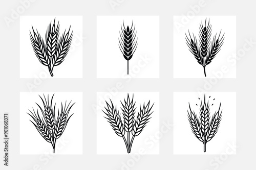 Eye Catching Grain Corn Artwork for Farmers
