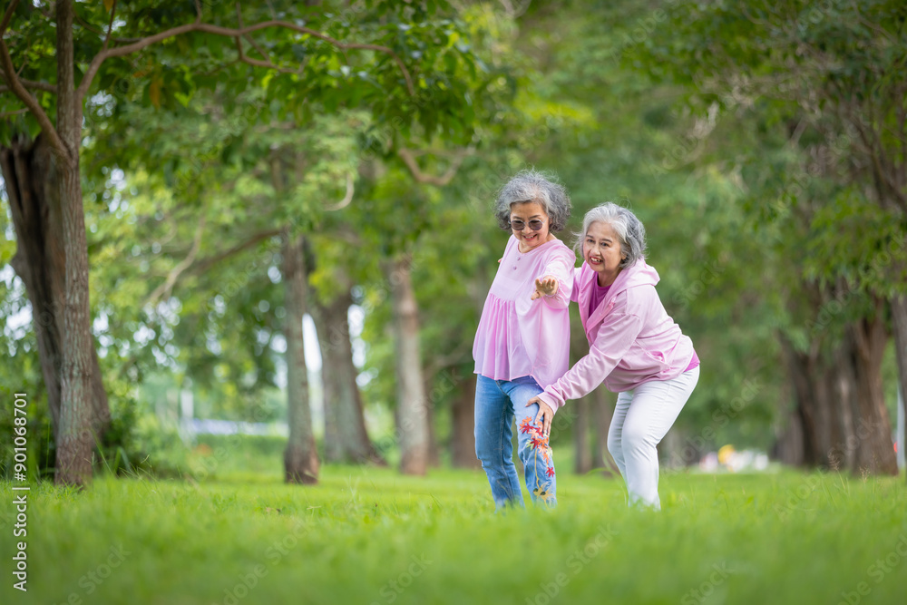 Two Elderly Women Exercising Outdoors in a Tree-Lined Park, Embracing Health and Friendship Two Elderly Women Exercising Outdoors in a Tree-Lined Park, Embracing Health and Friendship